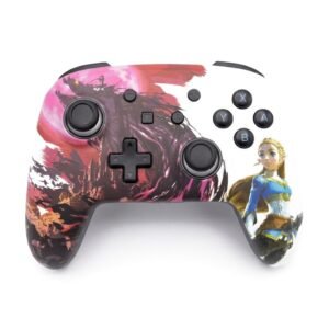 Nintendo Switch Controllers